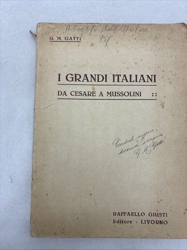 Gatti i grandi - g.m.,